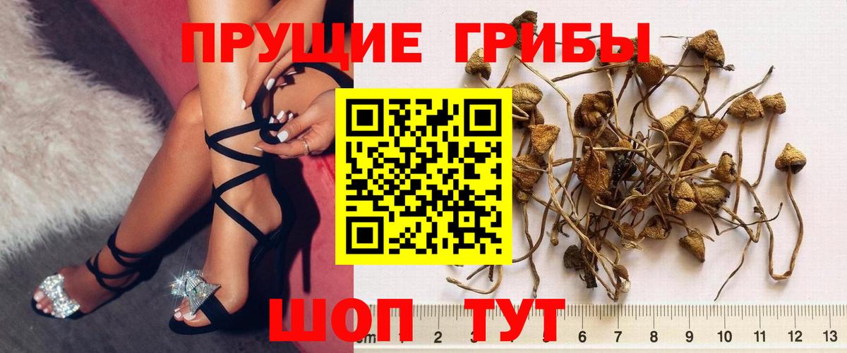 Галлюциногенные грибы GOLDEN TEACHER Волжск