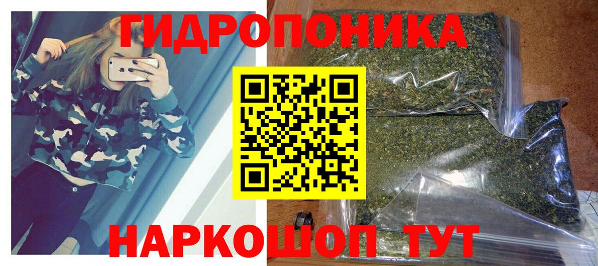 МАРИХУАНА конопля Волжск
